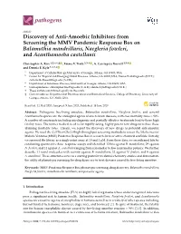 Discovery of Anti-Amoebic Inhibitors from Screening the MMV Pandemic Response Box on Balamuthia Mandrillaris, Naegleria Fowleri, and Acanthamoeba Castellanii