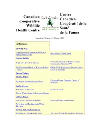 Newsletter 3