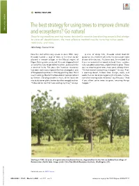 The Best Strategy for Using Trees to Improve Climate and Ecosystems?