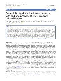 Extracellular Signal-Regulated Kinases Associate with and Phosphorylate