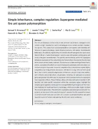 Simple Inheritance, Complex Regulation: Supergene‐Mediated