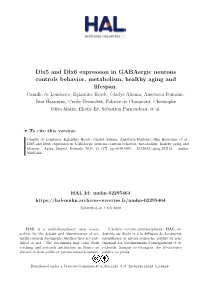 Dlx5 and Dlx6 Expression in Gabaergic Neurons Controls Behavior, Metabolism, Healthy Aging and Lifespan