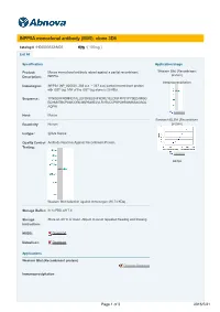 INPP5A Monoclonal Antibody (M05), Clone 3D8