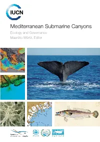 Mediterranean Submarine Canyons Ecology and Governance Maurizio Würtz, Editor ABOUT IUCN