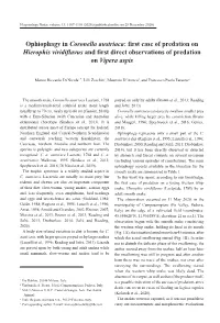 Ophiophagy in Coronella Austriaca:� ���� �� �� ��������� �� Hierophis Viridiflavus and First Direct Observations of Predation on Vipera Aspis
