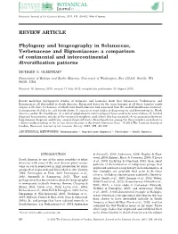 Phylogeny and Biogeography in Solanaceae, Verbenaceae and Bignoniaceae: a Comparison of Continental and Intercontinental Diversiﬁcation Patterns