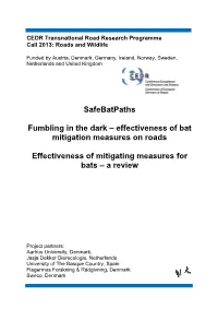 Effectiveness of Mitigating Measures for Bats – a Review
