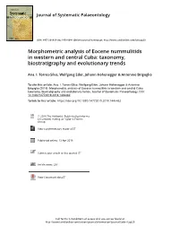 Morphometric Analysis of Eocene Nummulitids in Western and Central Cuba: Taxonomy, Biostratigraphy and Evolutionary Trends