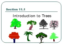 Section 11.1 Introduction to Trees Definition