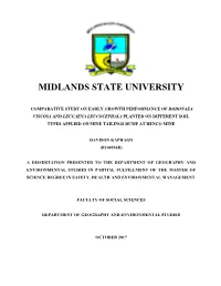 Midlands State University
