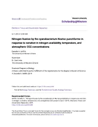 Nitrogen Fixation by the Cyanobacterium Nostoc Punctiforme in Response to Variation in Nitrogen Availability, Temperature, and Atmospheric CO2 Concentrations" (2014)