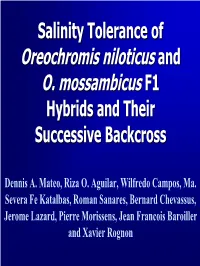 Oreochromis Niloticus and O. Mossambicus F1