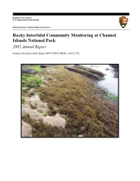 Rocky Intertidal Community Monitoring at Channel Islands National Park 2005 Annual Report