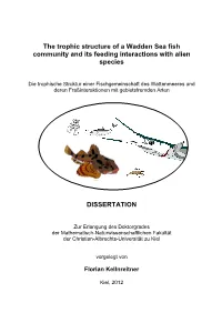The Trophic Structure of a Wadden Sea Fish Community and Its Feeding Interactions with Alien Species