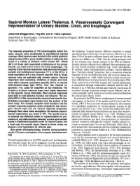 Squirrel Monkey Lateral Thalamus. II. Viscerosomatic Convergent Representation of Urinary Bladder, Colon, and Esophagus