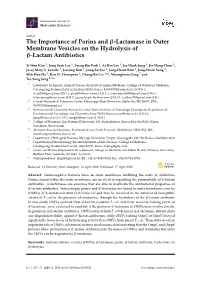The Importance of Porins and Β-Lactamase in Outer Membrane Vesicles on the Hydrolysis of Β-Lactam Antibiotics