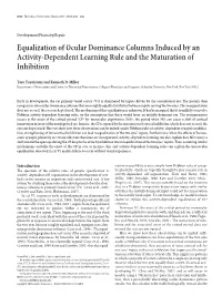 Equalization of Ocular Dominance Columns Induced by an Activity-Dependent Learning Rule and the Maturation of Inhibition