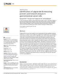 Identification of Calgranulin B Interacting Proteins and Network Analysis in Gastrointestinal Cancer Cells