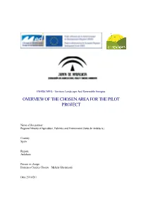 Overview of the Chosen Area for the Pilot Project