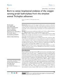 Biophysical Analyses of the Oxygen Sensing Prolyl Hydroxylase from the Simplest Animal Trichoplax Adhaerens