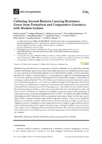 Culturing Ancient Bacteria Carrying Resistance Genes from Permafrost and Comparative Genomics with Modern Isolates