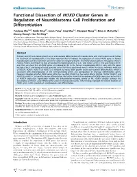 Functional Dissection of HOXD Cluster Genes in Regulation of Neuroblastoma Cell Proliferation and Differentiation