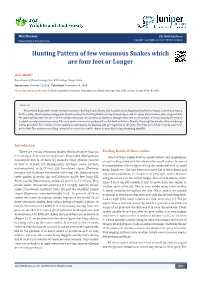 Hunting Pattern of Few Venomous Snakes Which Are Than Four Feet Or Longer