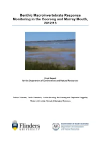 Benthic Macroinvertebrate Response Monitoring in the Coorong and Murray Mouth, 2012/13