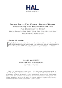Isotopic Tracers Unveil Distinct Fates for Nitrogen Sources During Wine