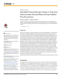 Mandible-Powered Escape Jumps in Trap-Jaw Ants Increase Survival Rates During Predator-Prey Encounters