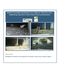 Wildlife Permeability and Hazards Across Highway 152 Pacheco Pass: Establishing a Baseline to Inform Infrastructure and Restoration