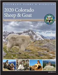2020 Colorado Sheep & Goat