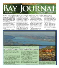 New State Plans Reveal Tough Path to 2025 Cleanup Goals ≈ PA Plan Admits It Falls Short of Nia, Which Submitted a Draft Plan to the Programs to Implement Them