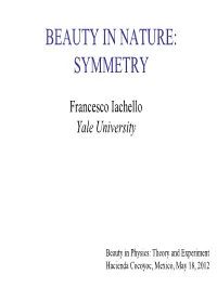 Symmetry: the Search for Order in Nature