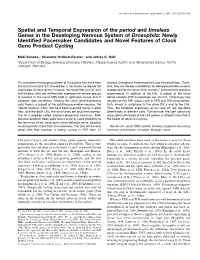 Spatial and Temporal Expression of the Period and Timeless Genes in the Developing Nervous System of Drosophila