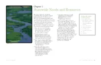 Statewide Needs and Resources