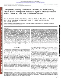 Antagonist Antibodies Against Various Forms of BAFF: Trimer, 60-Mer, and Membrane-Bound S