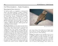 Sparrow, House