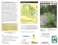 BROWN Trail First Nations