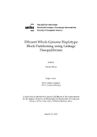 Efficient Whole Genome Haplotype Block Partitioning Using Linkage