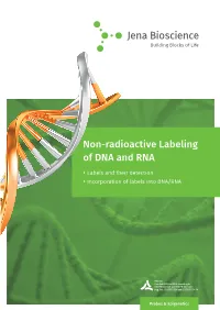 Non-Radioactive Labeling of DNA and RNA