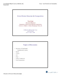 Cereal Grains Structure & Composition Topics of Discussion