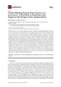Choline Binding Proteins from Streptococcus Pneumoniae: a Dual Role As Enzybiotics and Targets for the Design of New Antimicrobials