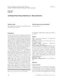 Curtobacterium Flaccumfaciens Pv. Flaccumfaciens Not Detected No
