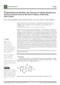 Diethylstilbestrol Modifies the Structure of Model Membranes And
