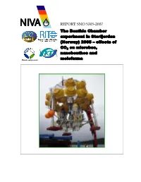 Effects of CO2 on Microbes, Nanobenthos and Meiofauna