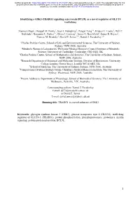 Identifying a GSK3-TRARG1 Signaling Axis Reveals BCL9L As a Novel Regulator of GLUT4 Trafficking