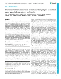 The N-Cadherin Interactome in Primary Cardiomyocytes As Defined Using Quantitative Proximity Proteomics Yang Li1,*, Chelsea D