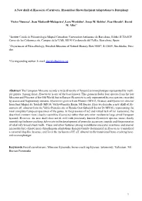 Bone-Cracking Hyenas; Taxonomy; Vallesian; NE Iberian Peninsula