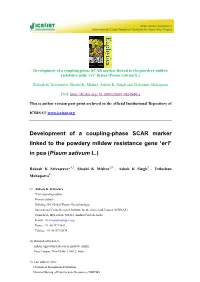Development of Coupling Phase Marker In